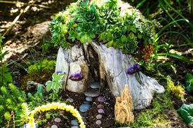 Succulent Fairy Garden Care How To