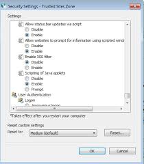 configure ie 11 to work with siebel 8 1