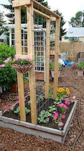 This trellis has been designed to work with climbing sweet peas, but just about any climbing plant would do well with this design. 20 Awesome Diy Garden Trellis Projects Hative