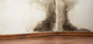 5 warning signs your listing has a mold