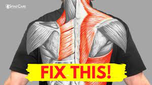 how to fix muscle pain between your