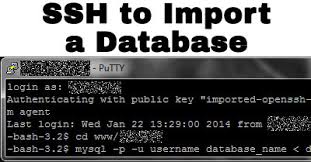 import a database to mysql with ssh