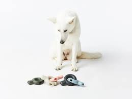 11 indestructible dog toys for your