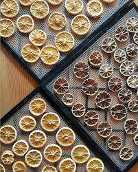 how to dehydrate citrus for tail
