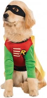 superhero pet costume center