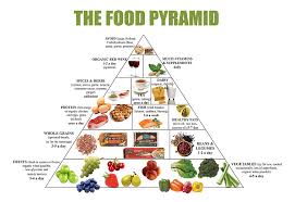 Amazon Com Food Pyramid Healthy Eating Meal And Diet Plan