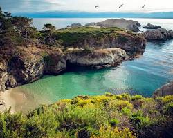 Gambar Point Lobos State Natural Reserve, Monterey
