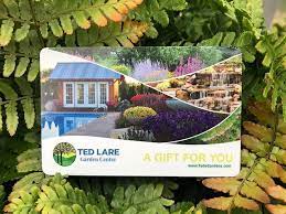 Gift Card Archives Ted Lare Design