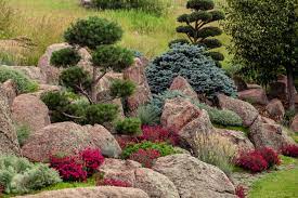 Landscaping With Trees Shrubs