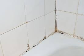 Black Mold In The Bathroom