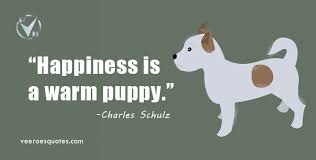 You were sitting behind me in the lecture hall at 8am and i was looking up pictures of cute puppies and all my puppies have been adopted except for one little lonely girl. Happiness Is A Warm Puppy Charles Schulz Quote Veeroesquotes