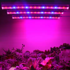 Grow Light Full Spectrum Mauritius