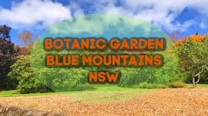 blue mountains botanic garden mount