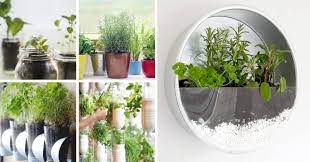 8 Easy Indoor Vegetable Gardens Ideal Me