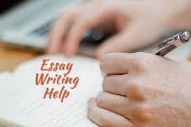 Universal Essay  Help Writing College Essays the best professional     Writing an Essay