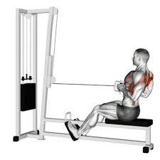 seated v bar cable row by ran p