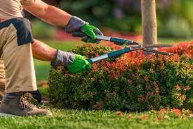 Garden Landscape Maintenance Service