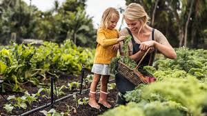 Tips On Starting Your Own Organic Garden