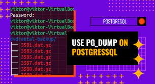 how to use pg dump on postgressql