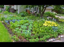 Plant A Front Lawn Ornamental Edible