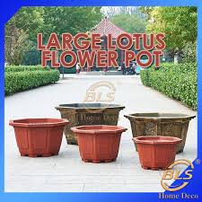 Octagon Large Lotus Pot Extra Large