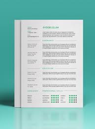 Resume Templates For 30 Years For Creative Directors 20 Best Cv