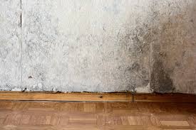 Wallpaper Can Cause Mold Here S What