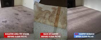 aaa carpet cleaning 5960 sobb ave las