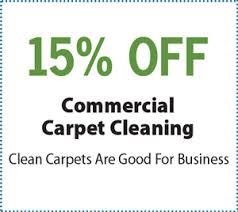 eco carpet cleaning rochester mn go