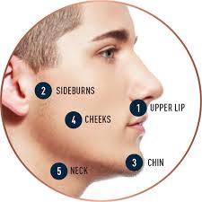 When it comes to ways on how to grow facial hair, you should try to stimulate the hair follicles with massage. Beard Growth Science Stages Of Beard Growth Gillette