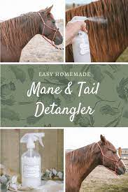 horse hair detangler recipe the
