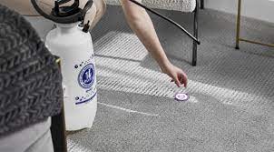 carpet upholstery cleaning owatonna mn