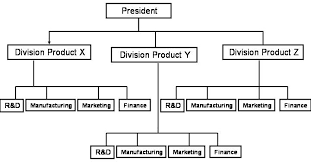 Organizational Structure Operations Processes And Decisions