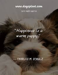 Once you have had a wonderful dog, a life without one, is a life. Puppy Quotes 50 Cute Puppy Quotes For Your Instagram Caption