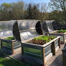 Growing Lettuce Garden Bed Layout