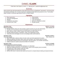 Resume Summary Examples Entry Level Professional Resume Summary