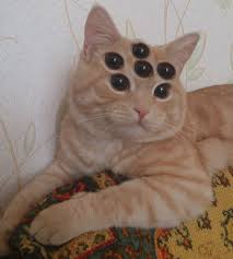 Pixel Gif :: Трипофобия :: Pixel Art (Пиксель Арт, Пиксель-Арт) :: слишком много  глаз :: много глаз :: глаза :: gif :: котэ (прикольные картинки с кошками)  / смешные картинки и другие