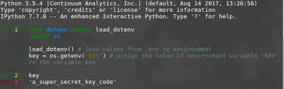 environment variables in python