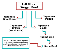 What Is Wagyu Beef A Complete Guide Jess Pryles