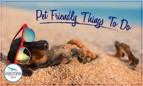 pet friendly things to do north myrtle