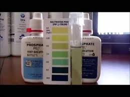 How To Test Phosphates Episode In A Saltwater Reef Tank 16
