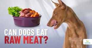 Can Dogs Eat Raw Meat Dogs Naturally