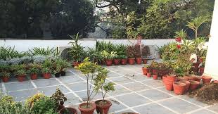 A Roof Top Terrace Garden In Delhi