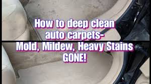 deep clean car carpets mold mildew