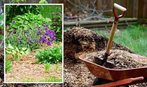 Mulch For Your Garden