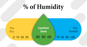 How To Deal With Humidity In Edmonton