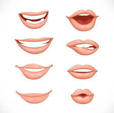 smiling lips of the mouth stock vector