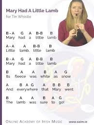 learn how to play tin whistle in