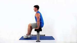push ups for beginners seated