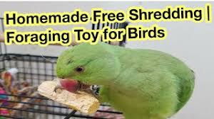 and easy diy parrot toys